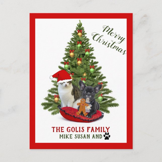 Cat God jul i Cute Family Pets Hund Cat Vykort (Framsida)