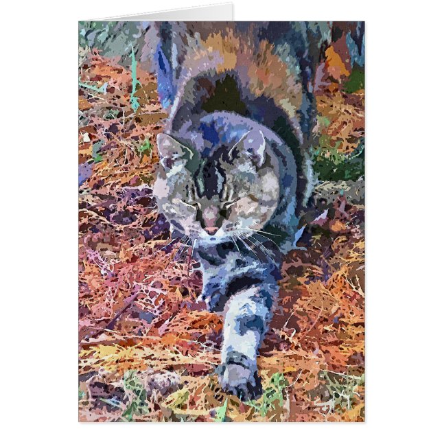 CAT-gratulationskort Hälsningskort (Framsidan)