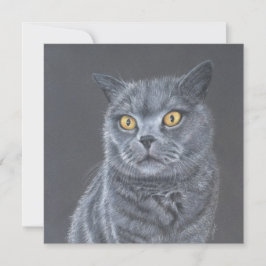Cat Greeting card.  Julkort