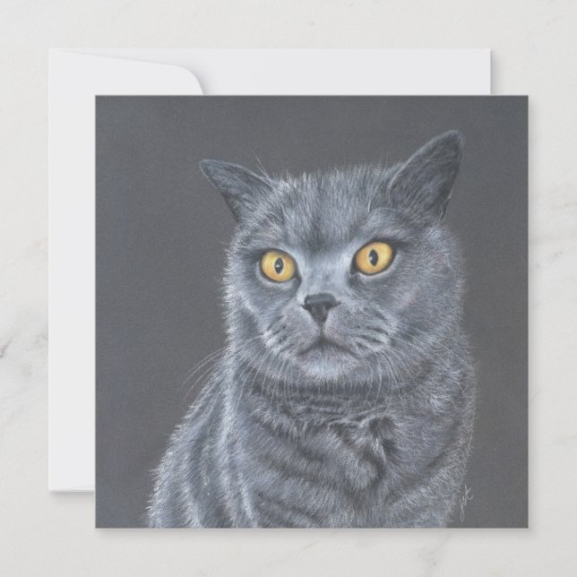 Cat Greeting card.  Julkort (Framsida)