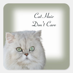 Cat Hair bryr sig inte om Stickers Fyrkantigt Klistermärke
