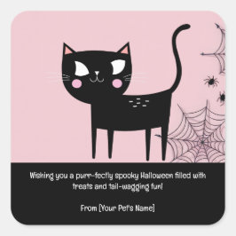 Cat Halloween Pet in spooky costumes Fyrkantigt Klistermärke