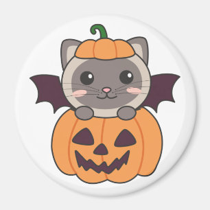 Cat Halloween Pumpkin Fladdermus Costume Magnet