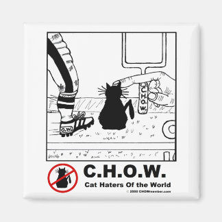 Cat Haters Football Magnet