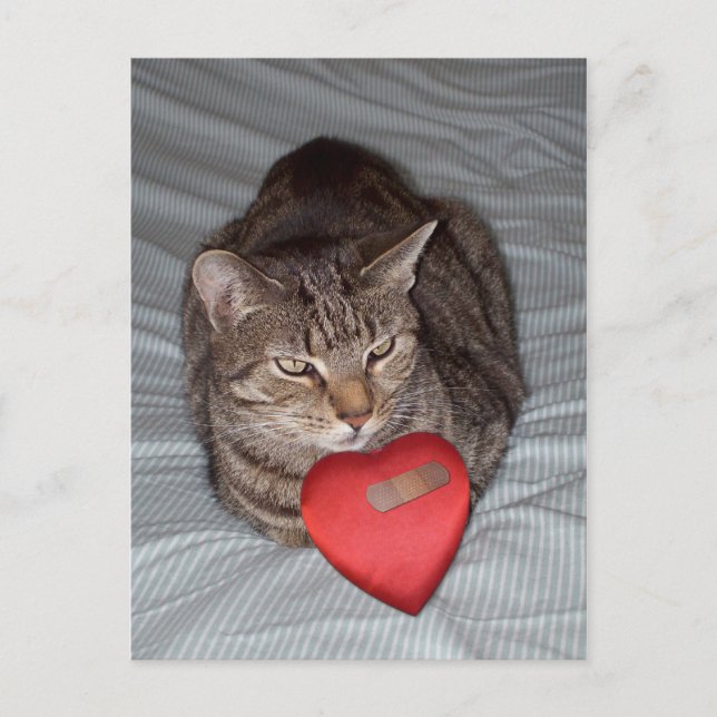 Cat Heart Bandaid Vykort (Framsida)
