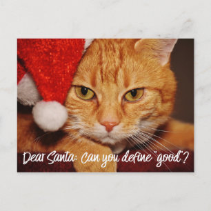 Cat Humor: Bäste Santa Define Bra   DJURÄLSKARE Helg Vykort