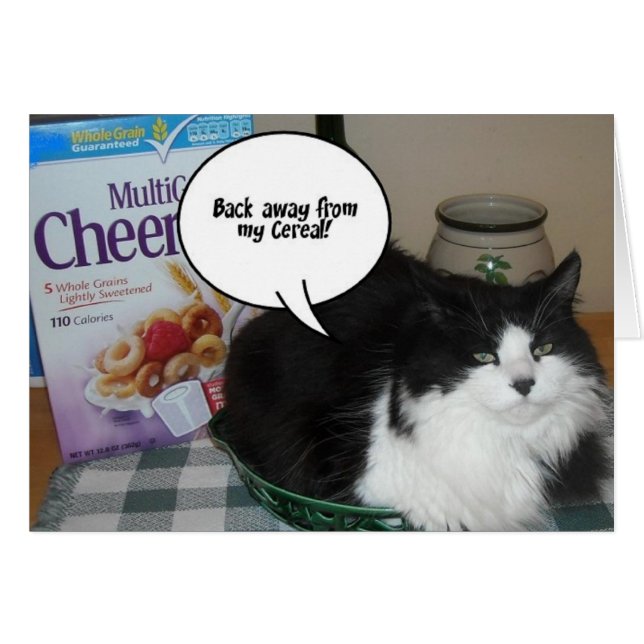 Cat Humor Hälsningskort (Framsidan Horizontal)