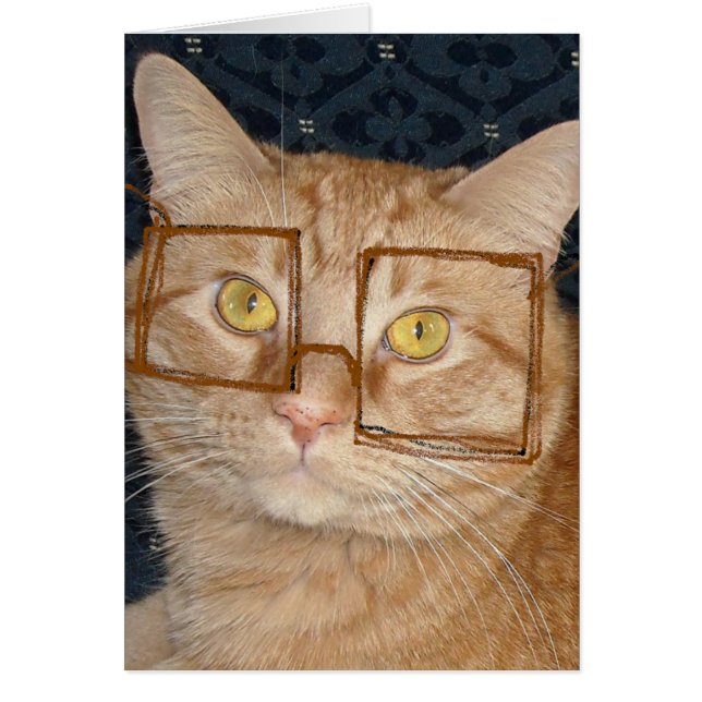 Cat Humor Hälsningskort (Framsidan)