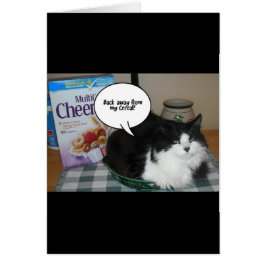 Cat Humor Hälsningskort