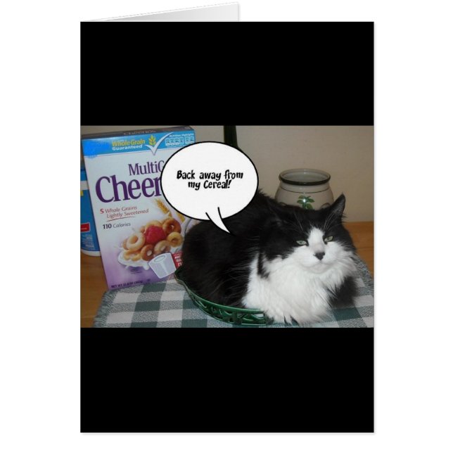 Cat Humor Hälsningskort (Framsidan)