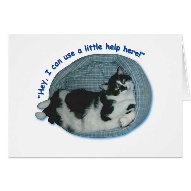 Cat Humor Hälsningskort (Framsidan Horizontal)