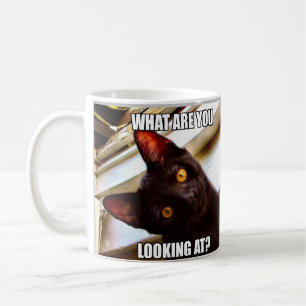 Cat Humor-kaffe Mugg