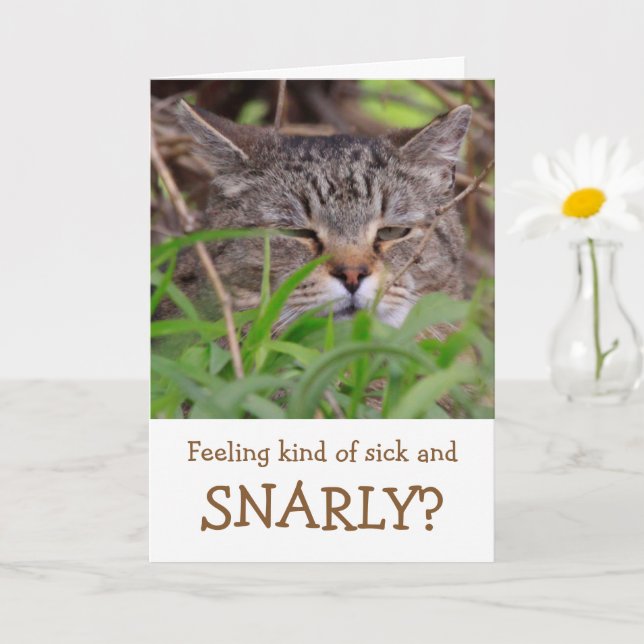 Cat Humor kommer bra Kort (Liten växt)