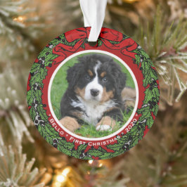 Cat Hund-foto Första jultomten