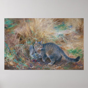 Cat Hunting a Turtledove, Bruno Liljefors Poster
