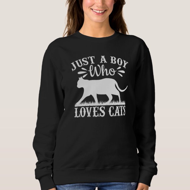 Cat I Just A Boy Who Loves Cats T Shirt (Framsida)