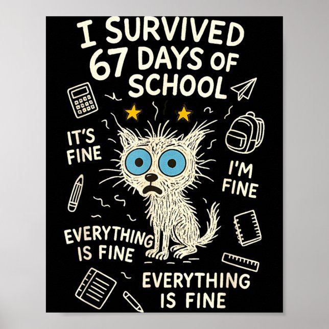 Cat I Survived 67 Days Of School Teachers Students Poster (Framsidan)