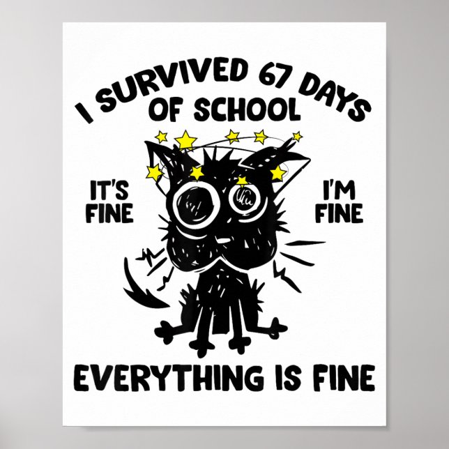 Cat I Survived 67 Days Of School Teachers Students Poster (Framsidan)