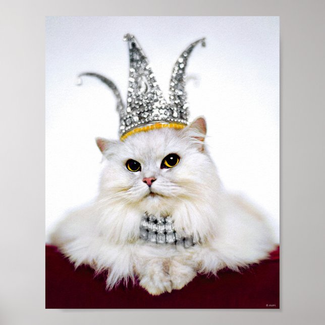 Cat in a Crown Poster (Framsidan)