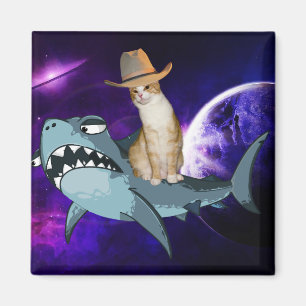 CAT IN RYMDRIDNG A SHARK MAGNET