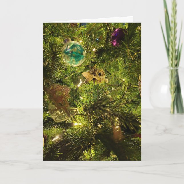 Cat In The Christmas Tree Christmas Card Helgkort (Framsida)