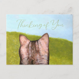 Cat in the Window  Vykort