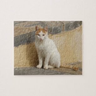 Cat Jigszawa Puzzle Pussel