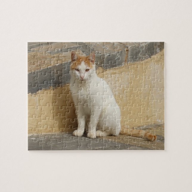 Cat Jigszawa Puzzle Pussel (Horisontell)