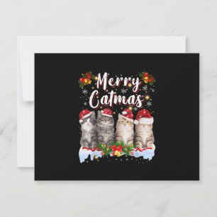 Cat jul Santa Hat Funny Merry Catmas OSA Kort