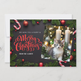 Cat Julafton helgdag-kort Julkort