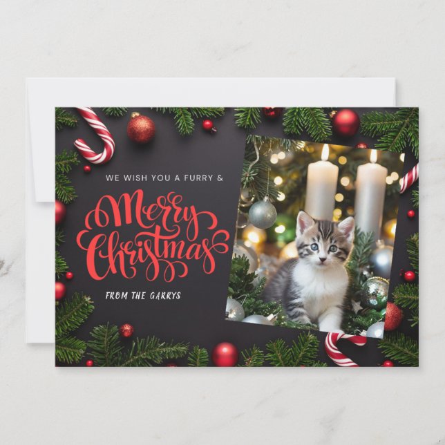 Cat Julafton helgdag-kort Julkort (Framsida)