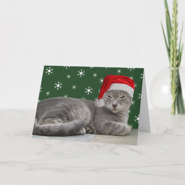 Cat Julafton-kort Helgkort (Framsida)