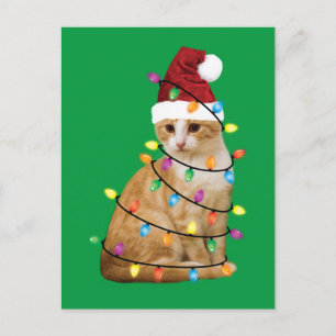 Cat Julgran Santa Funny Julafton Cat Lover Vykort
