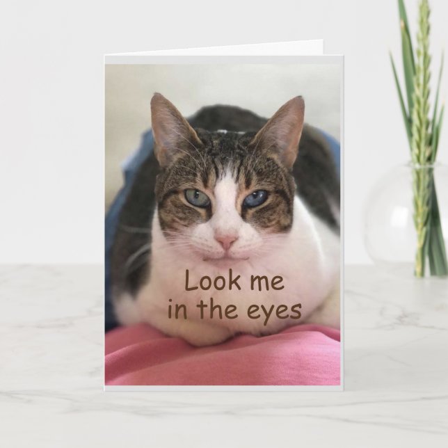 CAT KAN INTE ANSE ATT DU ÄR *30" KORT (Framsida)