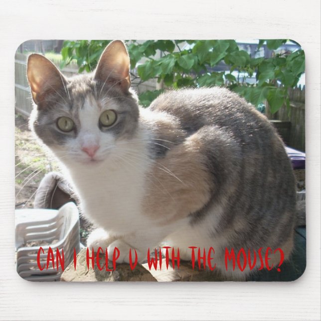 CAT: Kan jag hjälpa oss med musen? Musmatta (Framsidan)