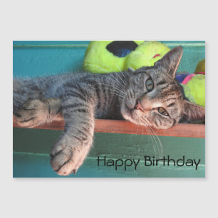 Cat Kärlek Grattis på födelsedagen