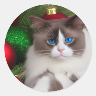 cat kärlek julgran roligt runt klistermärke