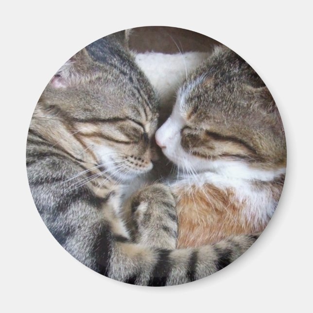 Cat Kärlek Magnet (Framsidan)