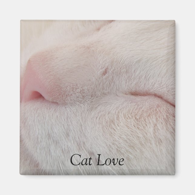 Cat Kärlek Magnet (Framsidan)