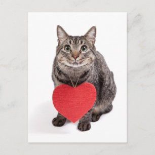 Cat Kärlek Vykort