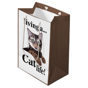 Cat Kattunge Animal Lover Funy