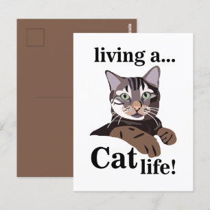 Cat Kattunge Funny Vykort