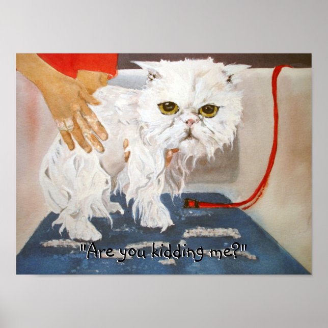 Cat Kattunge Vet Pet Cat Bath Humor Funny Poster (Framsidan)