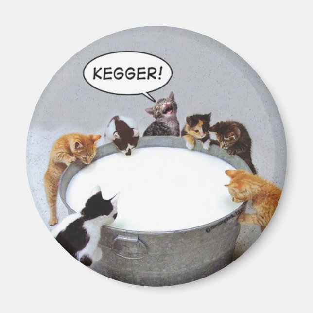 Cat Kegger Magnet (Framsidan)