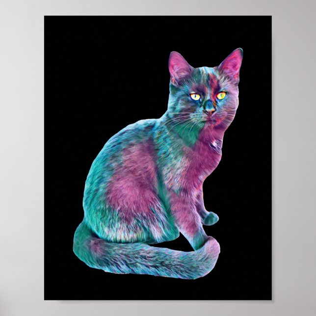 Cat Kitten Cute Päls Nose Funny Animals Poster (Framsidan)