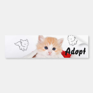 Cat Kitten Hund Adopt Bumper Sticker Bildekal