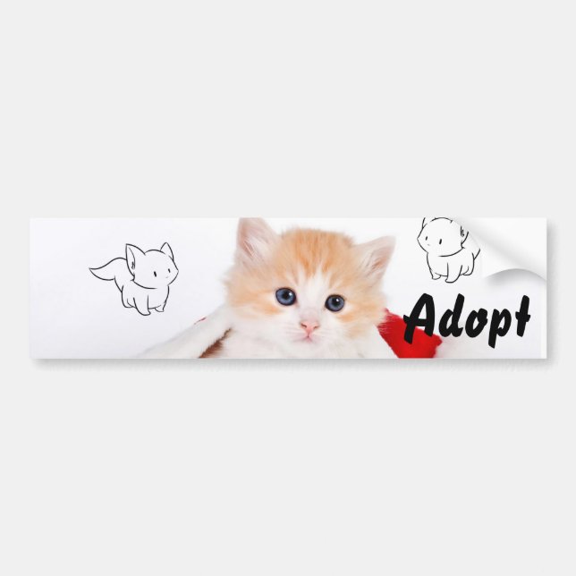 Cat Kitten Hund Adopt Bumper Sticker Bildekal (Framsidan)
