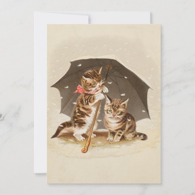Cat Kitten kattunge antique vintage söt Söt Inbjudningar (Baksida)