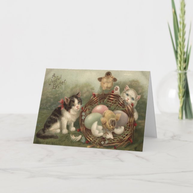 Cat Kitten Påsk Färgad Pawarden ÄG Chick Helgkort (Framsida)