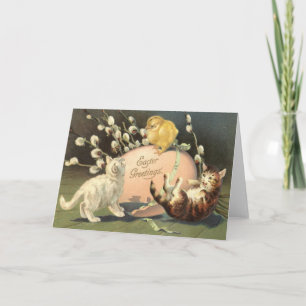 Cat Kitten Påsk Färgad Pawarden ÄG Chick Helgkort